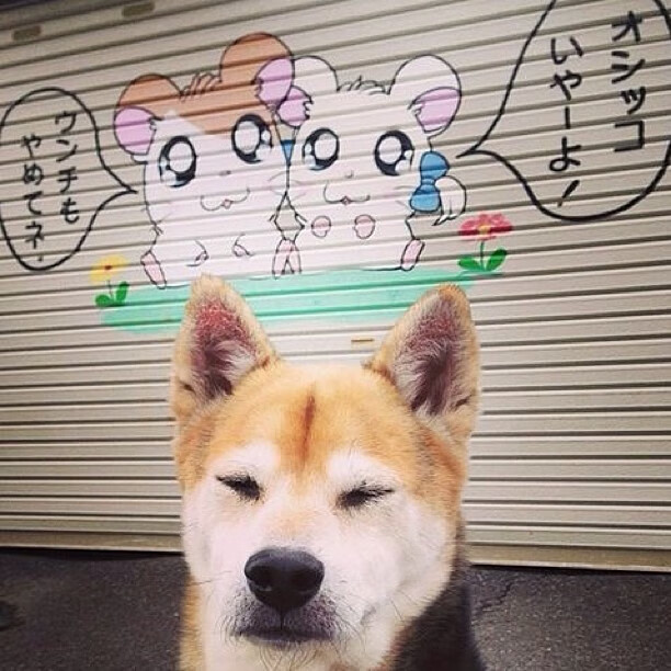 翻越不同的山峰，相似的背影