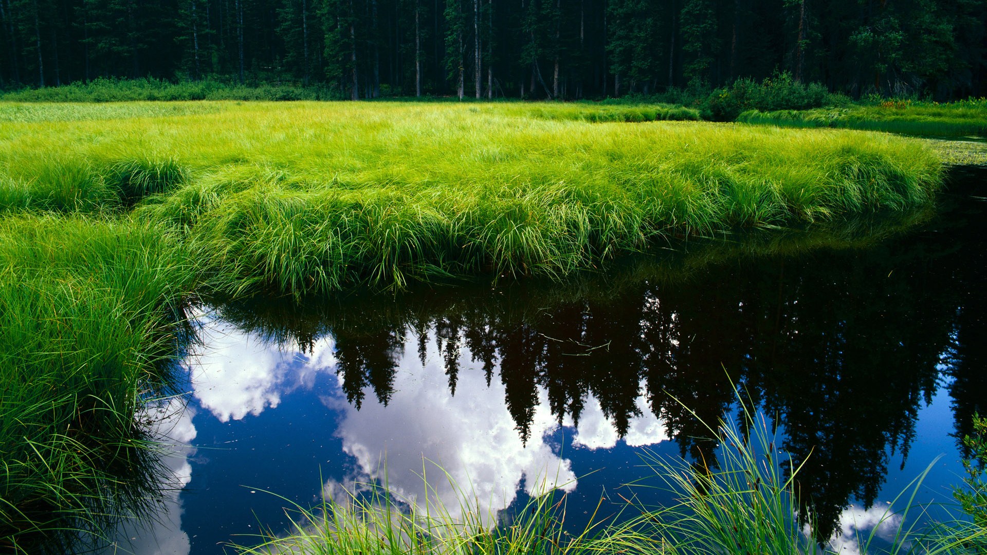 开云体育在线-唯一之战，从F1街道赛到篮球场，辽宁队的连续得分艺术