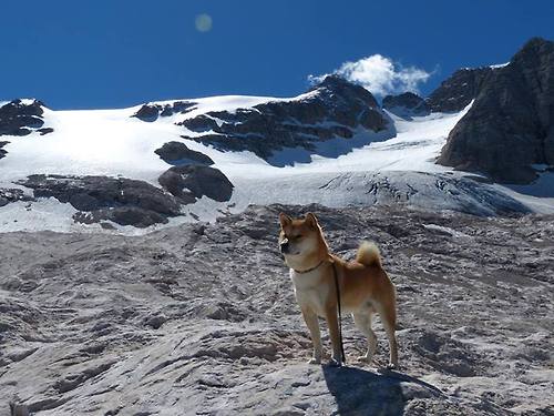 1.冷门之夜,几内亚狂暴逆袭马赛,阿坎吉一锤定音