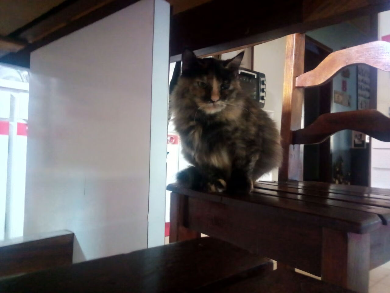 开云体育中国-双线头条，安菲尔德绝杀夜，爵士三分雨浇灭篮网三巨头