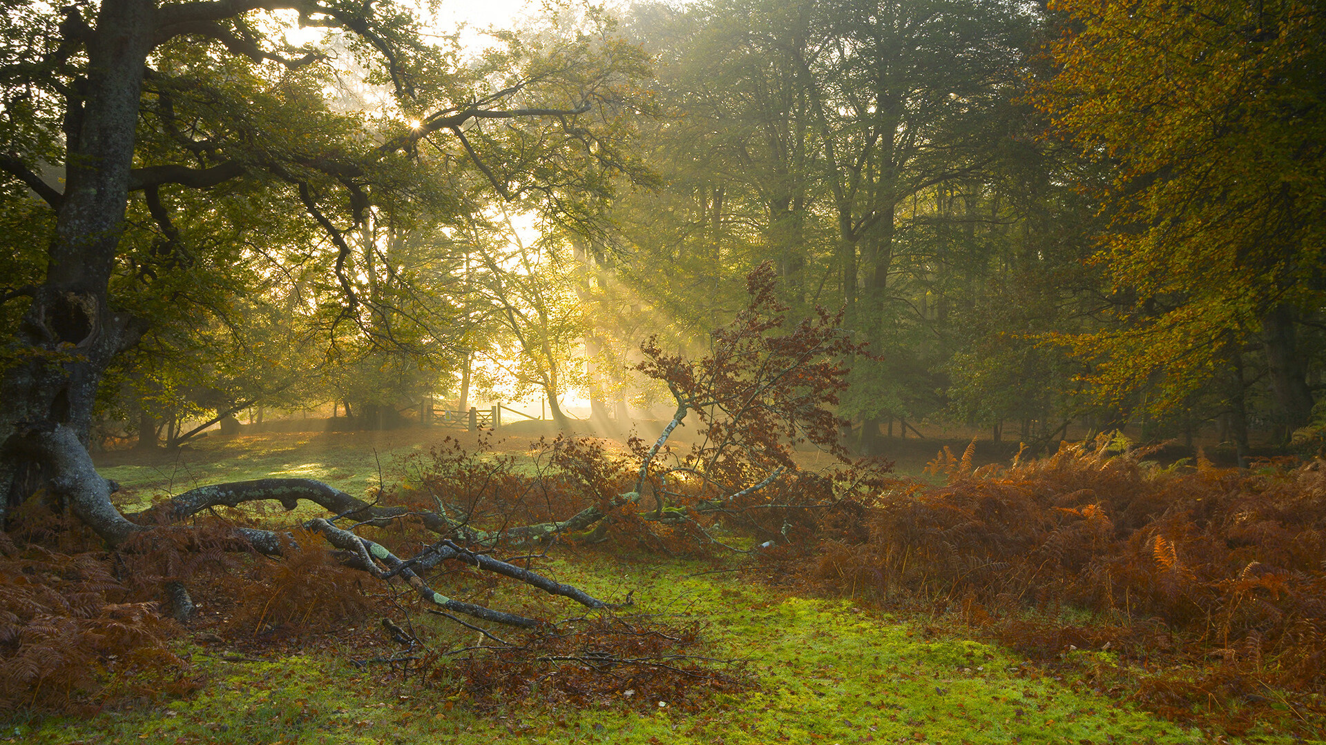 临崖的死神，戈麦斯独舞，悬崖边扼住芬兰咽喉