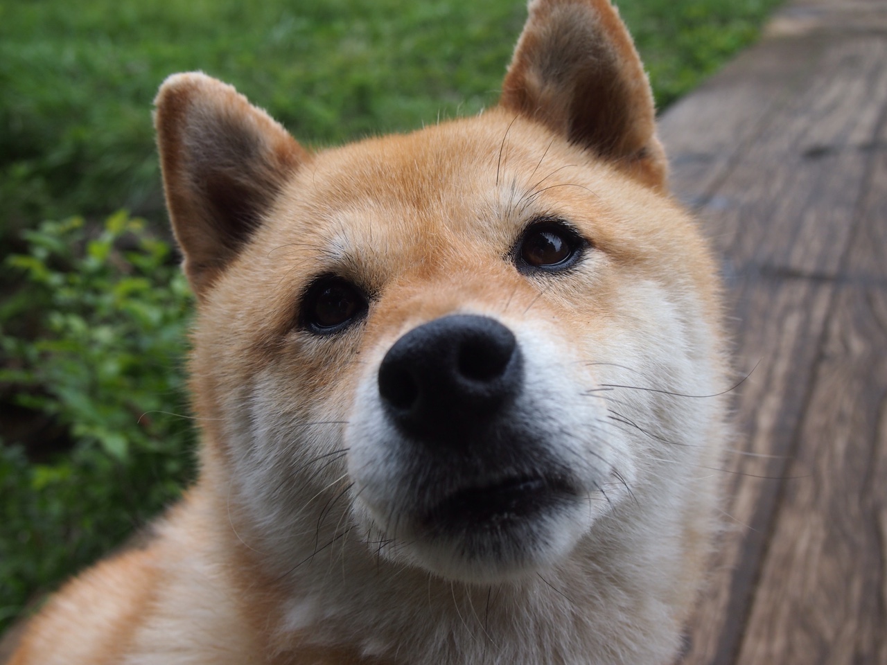 布克公式，他用数学破解了欧冠决赛的终极密码