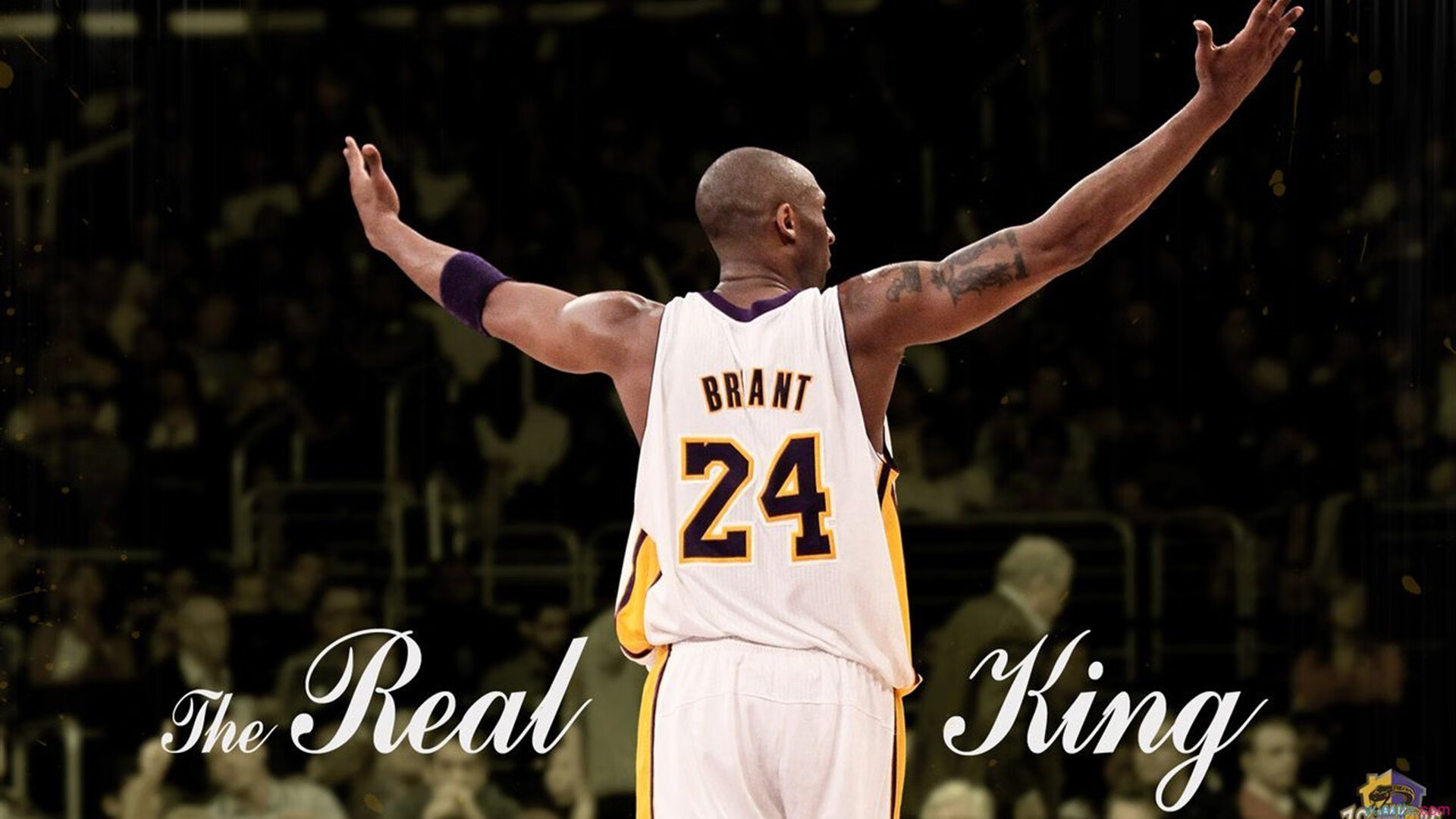 新班诺克本战役，京多安在2026世界杯上的马赛征服记