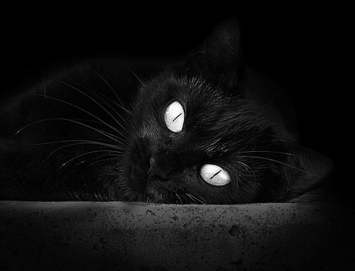 开云体育-欧冠淘汰赛焦点战启示录，新疆队生死战取胜骑士的唯一性解读