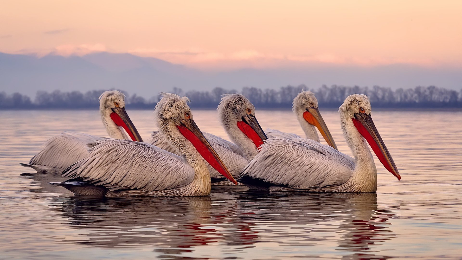 开云体育-末节之王与战术铁幕，劳塔罗的个人英雄主义与雷恩式的整体压制哲学