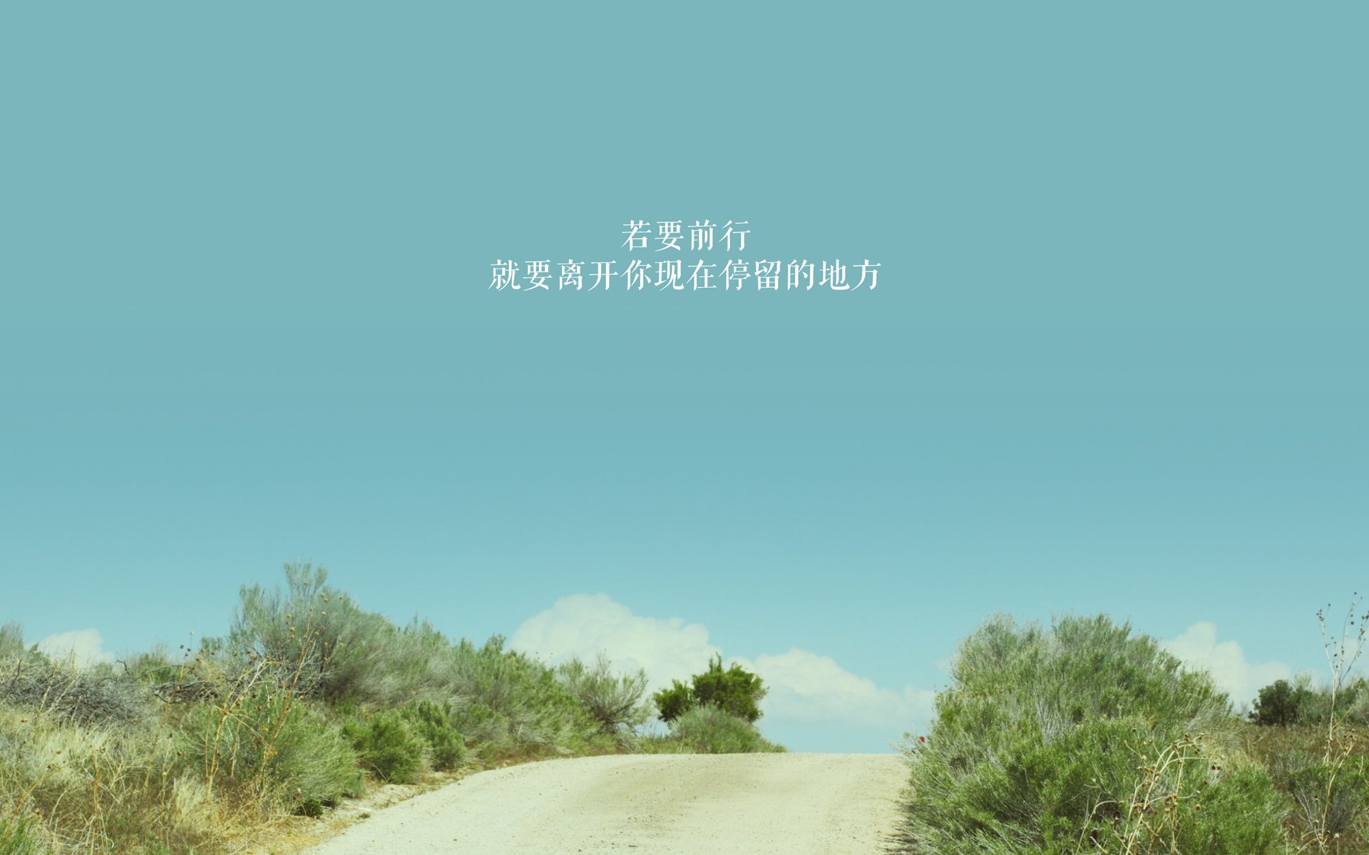 佩德里奇袭，波兰闪电战撕裂伊拉克铁壁，E组新王崛起