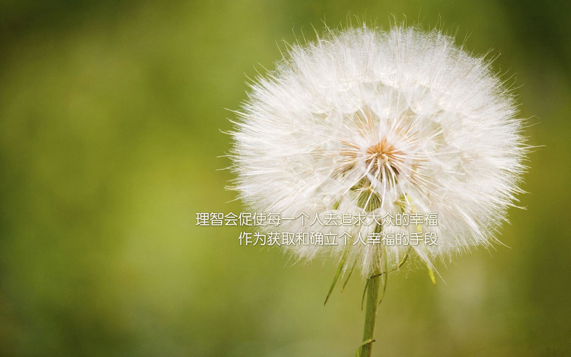 开云体育登录-新秩序的血色黎明，安联球场，咆哮的袋鼠与沉没的战车