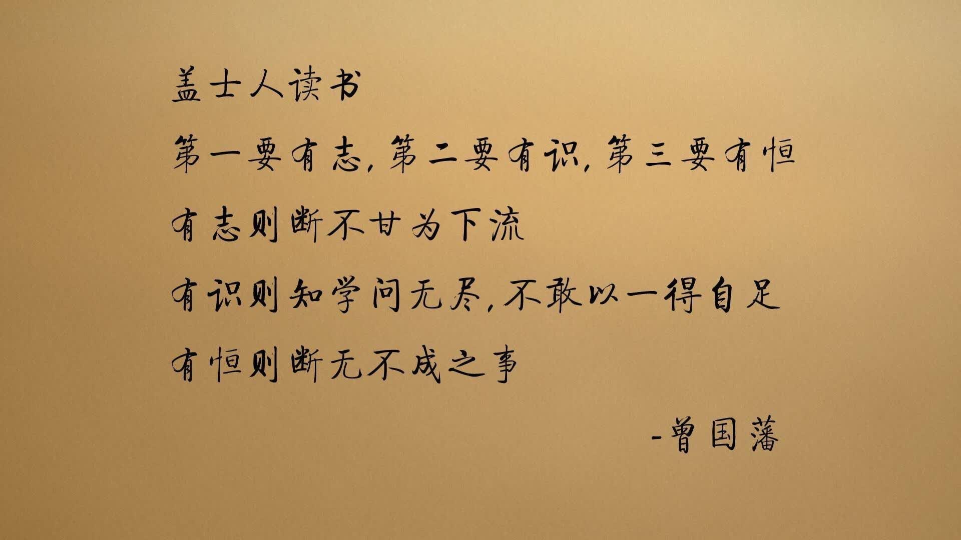 血色绿茵的逆转史诗,当北欧海盗哈兰德,在突尼斯铁蹄下撕碎德意志战车