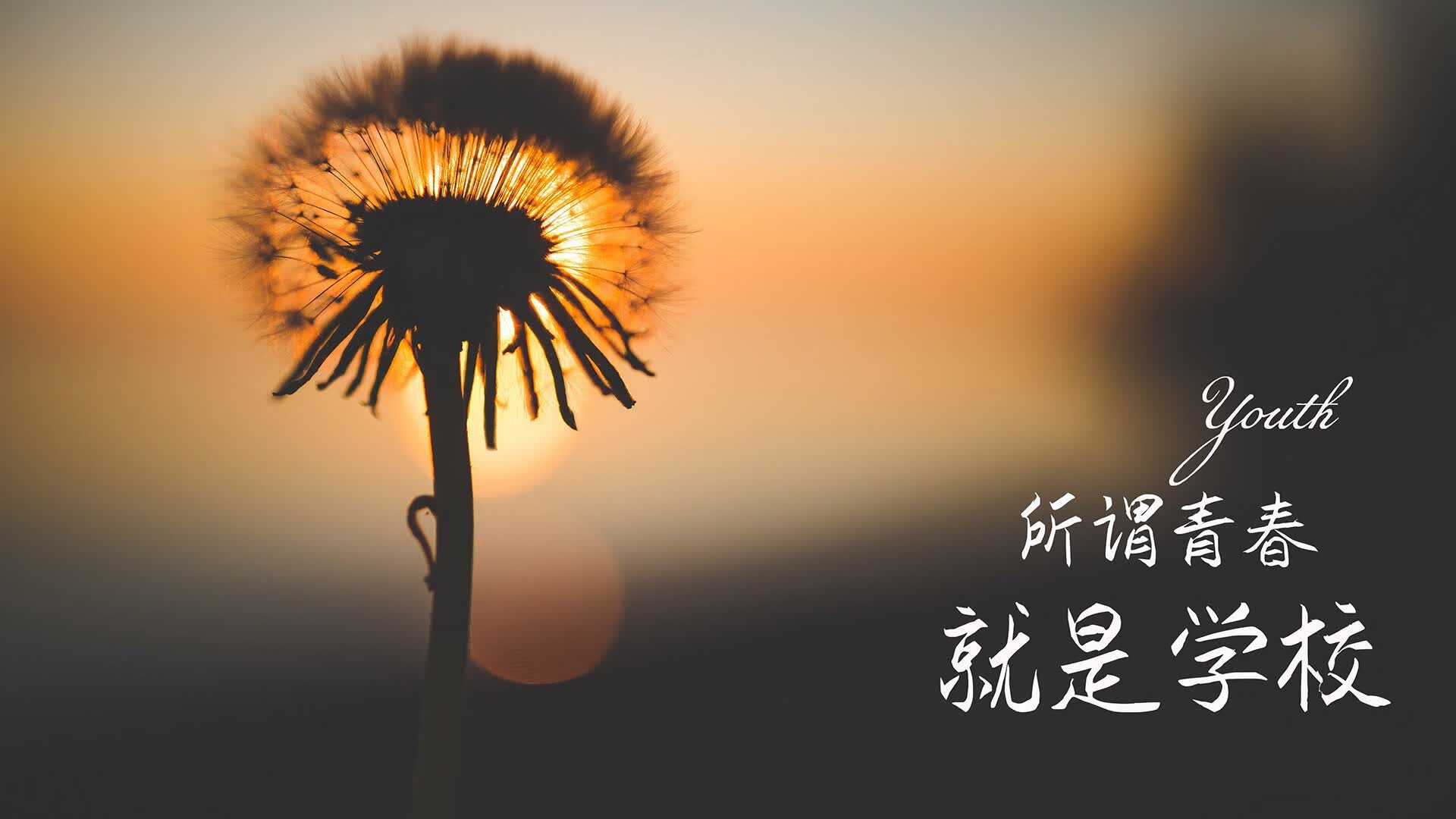 逆战卡塔尔，伊拉克绝地反击险胜罗马尼亚，萨内闪电突袭成E组唯一亮点