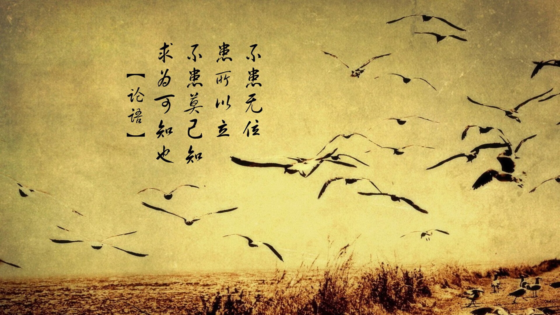 非洲内战的异乡主角,哈基米如何用一场完美演出,撕裂了加纳与厄瓜多尔的命运对决